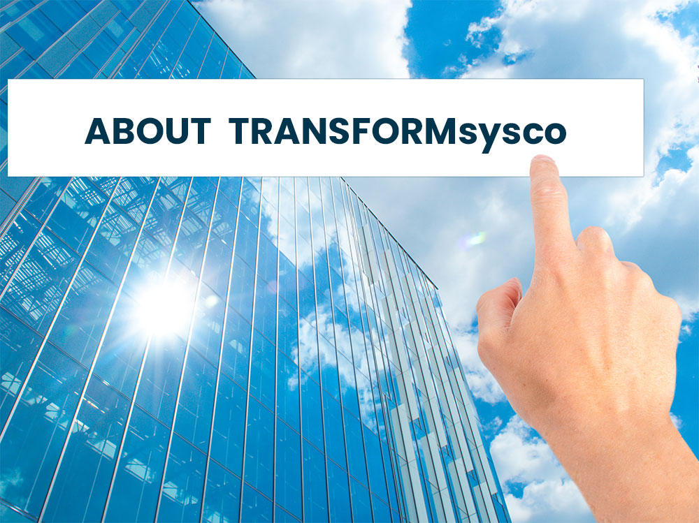 Transformsysco Security Review